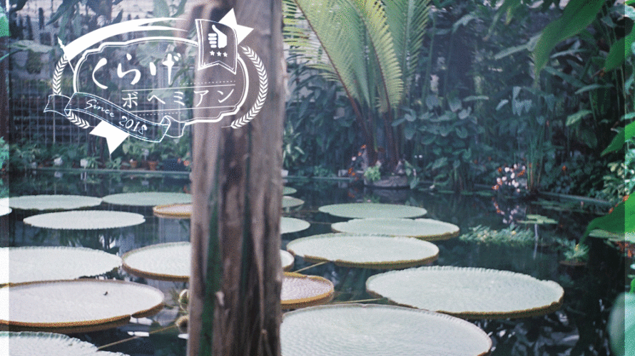 熱帯植物の楽園【熱川バナナワニ園】レビュー｜静岡伊豆の極上施設