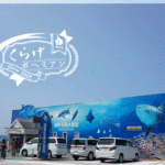 こどもとお出かけ｜福井【越前松島水族館】目の前に広がる日本海